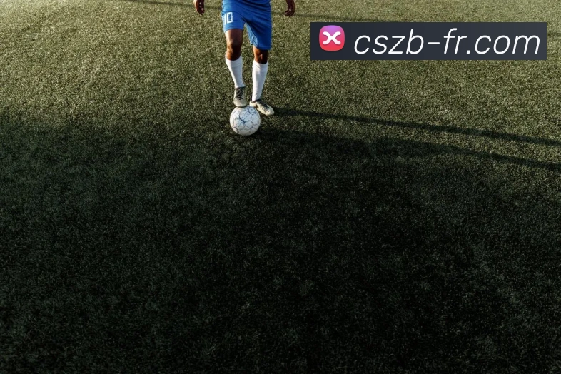 彩神争霸服务体系